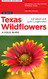 Texas Wildflowers: A Field Guide