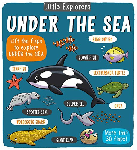 Little Explorers: Under the Sea