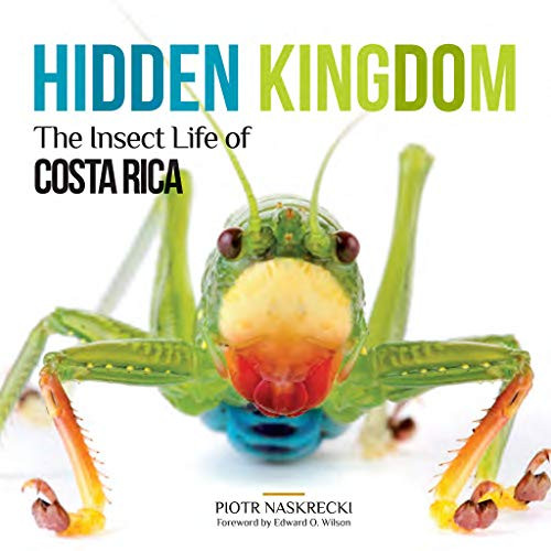 Hidden Kingdom: The Insect Life of Costa Rica