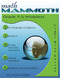 Math Mammoth Grade 7-A Worktext
