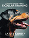 Everything you need to know about E Collar Training