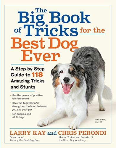 Big Book of Tricks for the Best Dog Ever