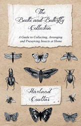 Beetle and Butterfly Collection - A Guide to Collecting