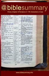 Bible Summary: Every Chapter in 140 Characters or Less