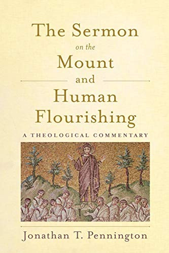 Sermon on the Mount and Human Flourishing: A Theological Commentary