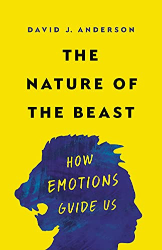 Nature of the Beast: How Emotions Guide Us