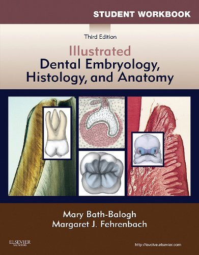 Student Workbook For Illustrated Dental Embryology Histology And Anatomy