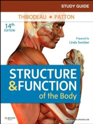 Study Guide For Structure And Function Of The Body 1