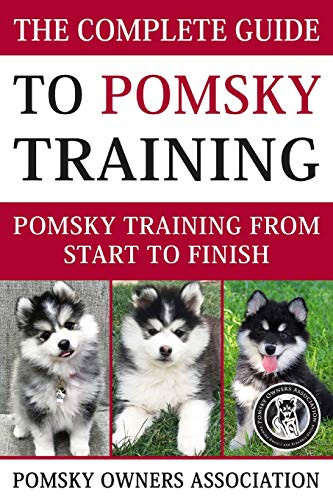 Complete Guide To Pomsky Training: Pomsky training from start to finish