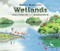 About Habitats: Wetlands