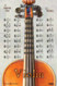 VIOLIN - Fingering Chart Poster