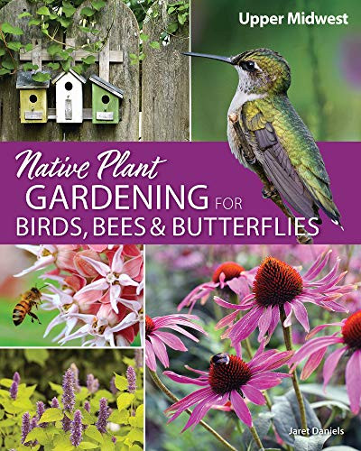 Native Plant Gardening for Birds Bees & Butterflies: Upper Midwest
