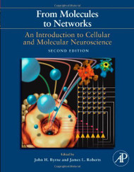 From Molecules To Networks
