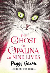Ghost of Opalina or Nine Lives