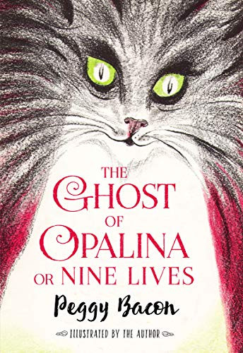 Ghost of Opalina or Nine Lives