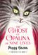 Ghost of Opalina or Nine Lives