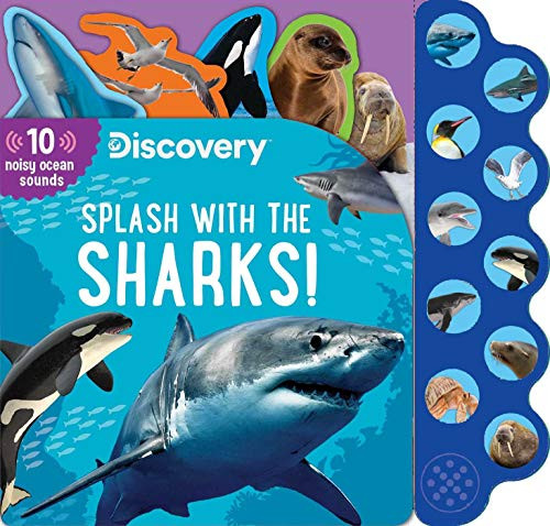 Discovery: Splash with the Sharks!