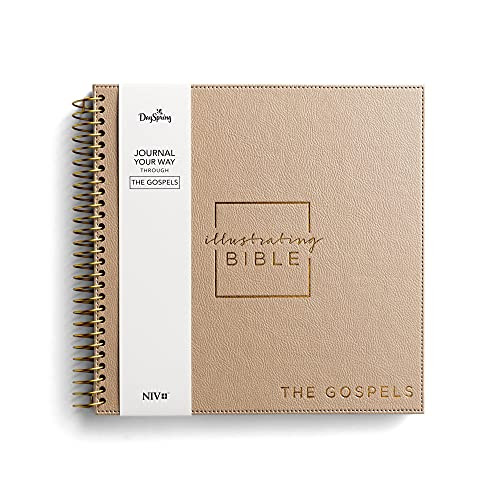 Illustrating Bible NIV: The Gospels