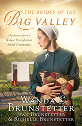 Brides of the Big Valley: 3 Romances from a Unique