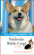Pembroke Welsh Corgi: Your Happy Healthy Pet