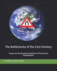 Bottlenecks of the 21st Century