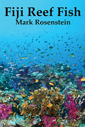 Fiji Reef Fish (1)