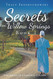 Secrets of Willow Springs - Book 1