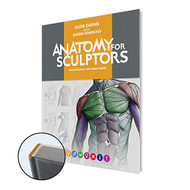Anatomy For Sculptors Understanding the Human Figure