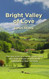 Bright Valley of Love