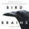 Bird Brains: The Intelligence of Crows Ravens Magpies and Jays