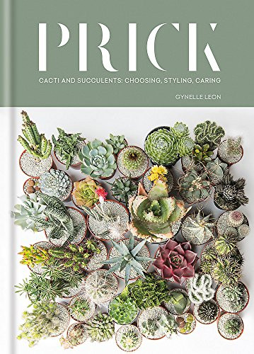 Prick: Cacti and Succulents: Choosing Styling Caring