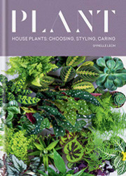 Plant: House plants: choosing styling caring