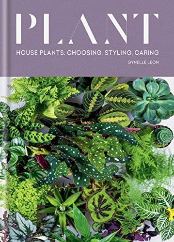 Plant: House plants: choosing styling caring