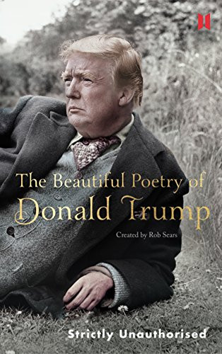 Beautiful Poetry of Donald Trump (Canons 8)