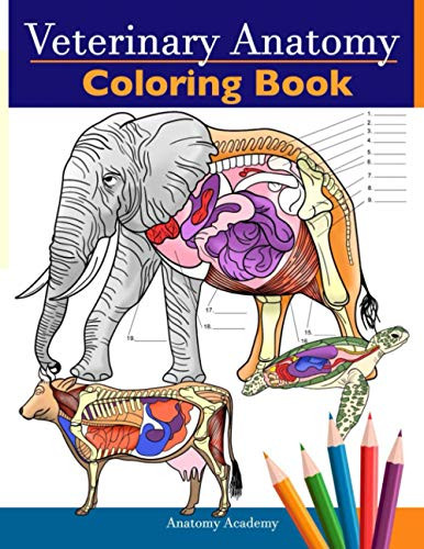 Veterinary Anatomy Coloring Book