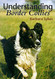 Understanding Border Collies