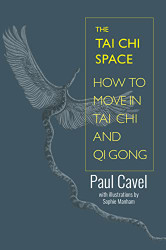 Tai Chi Space: How to Move in Tai Chi and Qi Gong