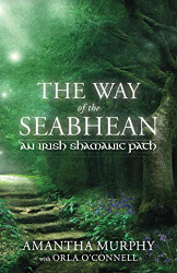 Way of the Seabhean: An Irish Shamanic Path