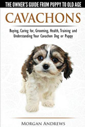 Cavachons - The Owner's Guide from Puppy to Old Age - Choosing