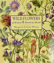 Wild Flowers of Britain: Month by Month