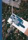 Please Send To Real Life: Ray Johnson Photographs