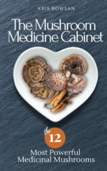 Mushroom Medicine Cabinet: The 12 Most Powerful Medicinal Mushrooms