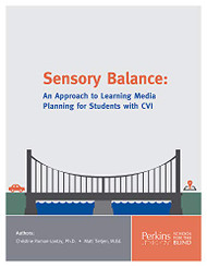 Sensory Balance: An Approach to Learning Media Planning for Students with CVI