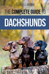 Complete Guide to Dachshunds
