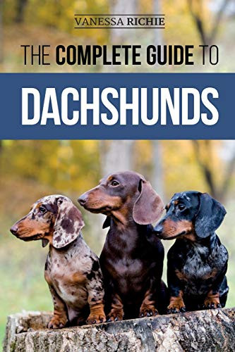 Complete Guide to Dachshunds