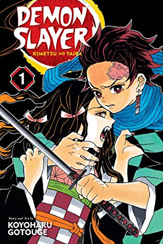 Demon Slayer: Kimetsu no Yaiba Vol. 1 (1)