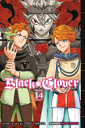 Black Clover Vol. 14 (14)