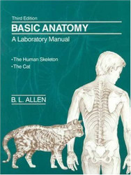 Basic Anatomy