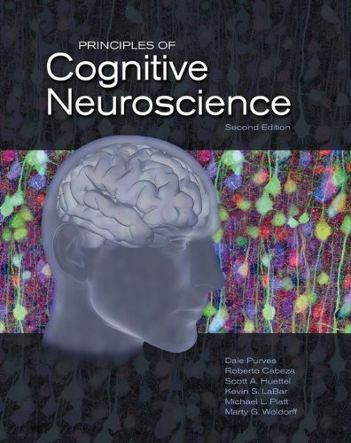 Principles Of Cognitive Neuroscience