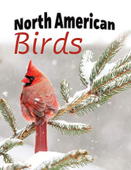 North American Birds: Extra-Large Print With Names